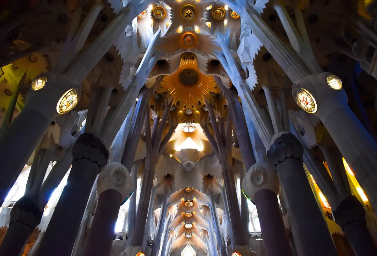 The nave of the Sagrada Família with its branching tree-like columns